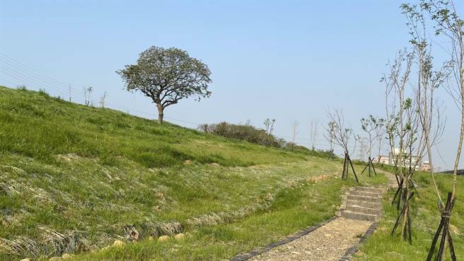 柯庆忠表示，新北4年完成7处迁葬工程力推公墓公园化。图为新庄第一公墓部分范围。（新北市民政局提供／李奇叡新北传真）