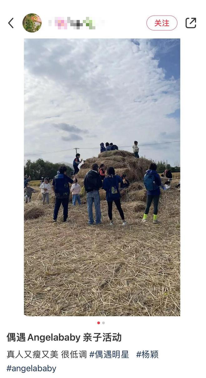 Angelababy带小海绵体验务农类型的亲子活动。（图／小红书）