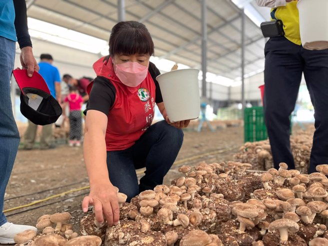 民进党南投县长候选人蔡培慧（图）宣布，若当选县长将建立南投的冷链系统。（图 / 取自蔡培慧脸书）