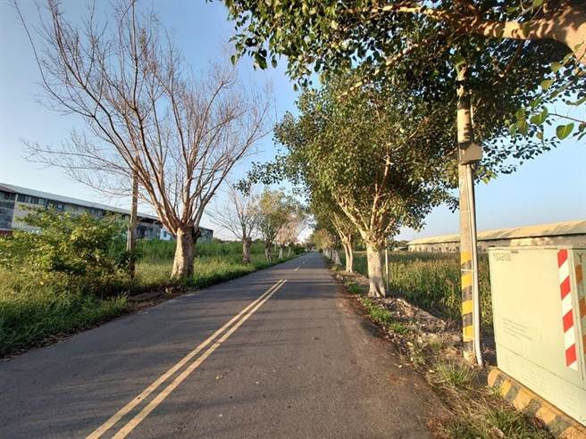 南市府获2600万补助拓宽岸内糖厂影视基地的联外道路。（南市府提供／张毓翎台南传真）