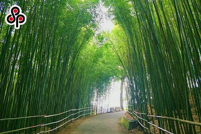 新興竹產業發展計畫把減碳綠生活帶入家中- 生活- 中時