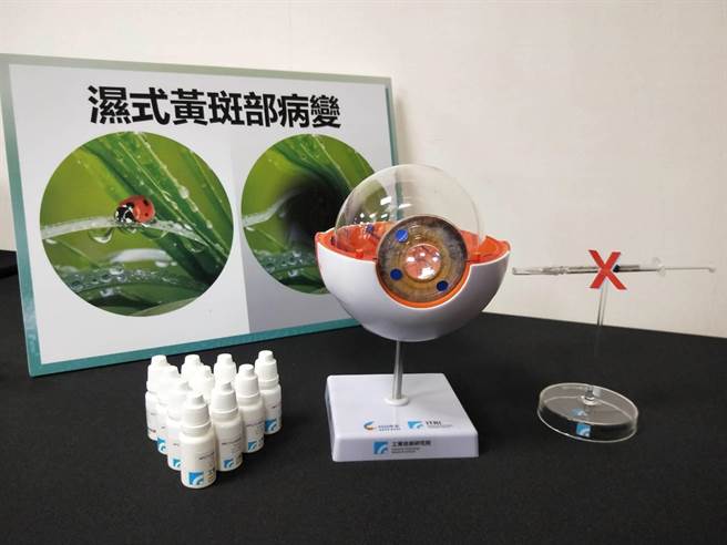 濕式黃斑部病變目前只能使用注射治療，工研院開發新藥水，可將藥物帶到眼底病灶。（王家瑜攝）