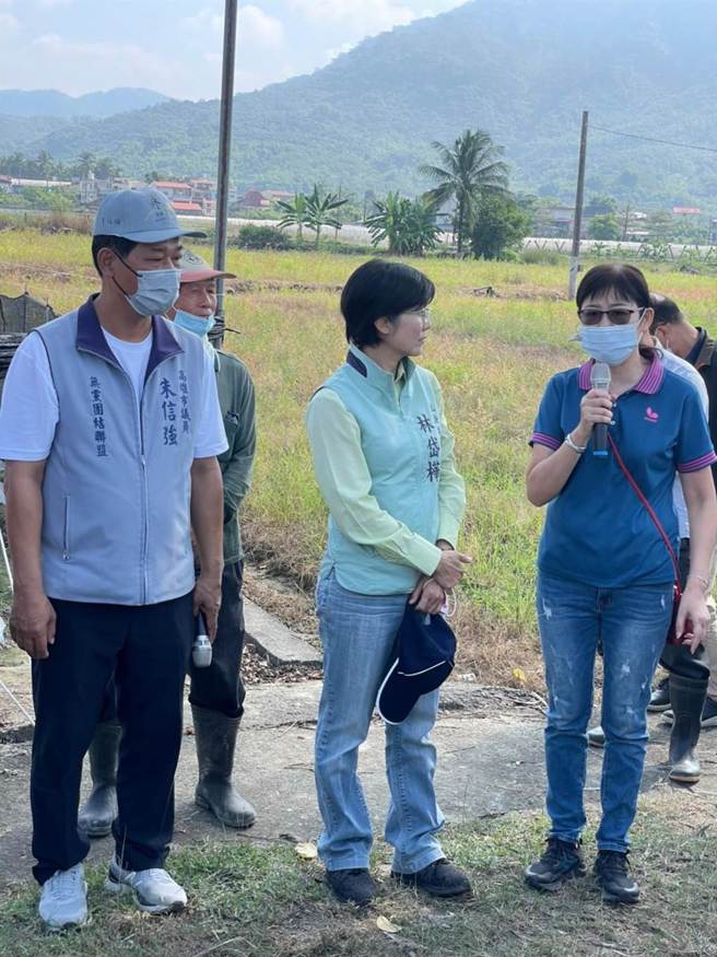 立委林岱桦及市议员朱信强今天上午邀集农业委员会防检局植物防疫组副组长顏辰鳯、高雄市政府农业局副局长郑清福等人，一同前往美浓农田区与杉林农田区现场会勘。(立委林岱桦服务处提供／林雅惠传真)