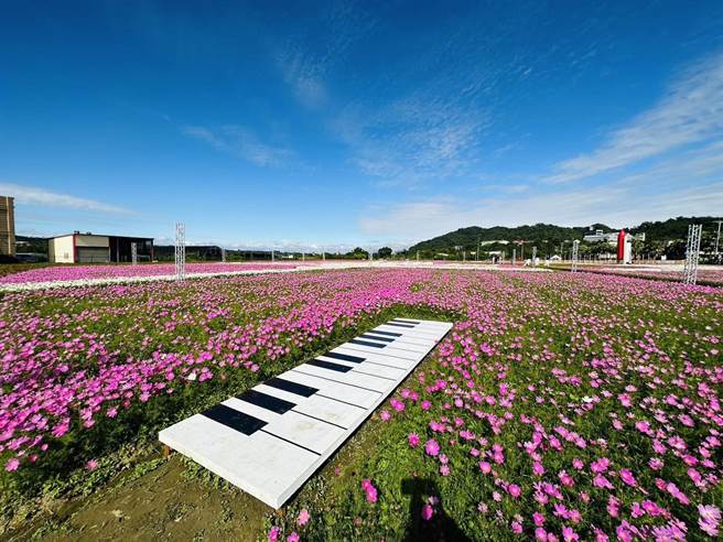 2022桃园花彩节12日登场，花宇奇航带领游客翱翔花海。(大溪区公所提供／吕筱蝉桃园传真)