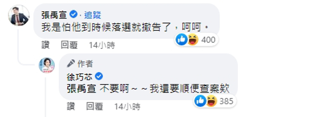 媒體人張禹宣現身預言「撤告時間點」，讓國民黨台北市議員徐巧芯忍不住大喊「不要啊！」（圖／截自徐巧芯臉書）