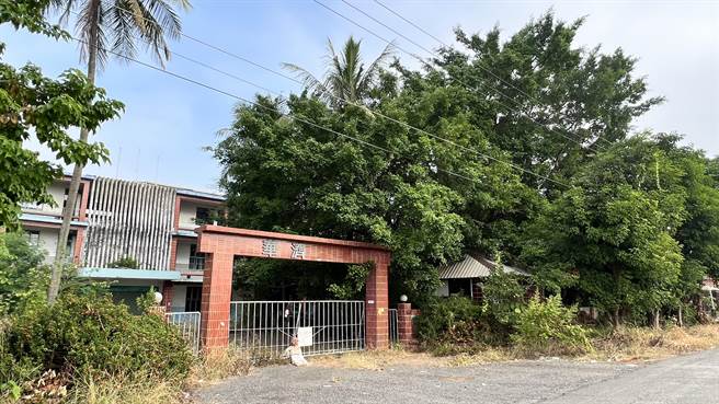 当地里长林俊仪无奈说，校园已经很久没有人来清理，杂草丛生，蔓延到非校地区及路上的高压电线，更成了流浪狗的窝。（张毓翎摄）