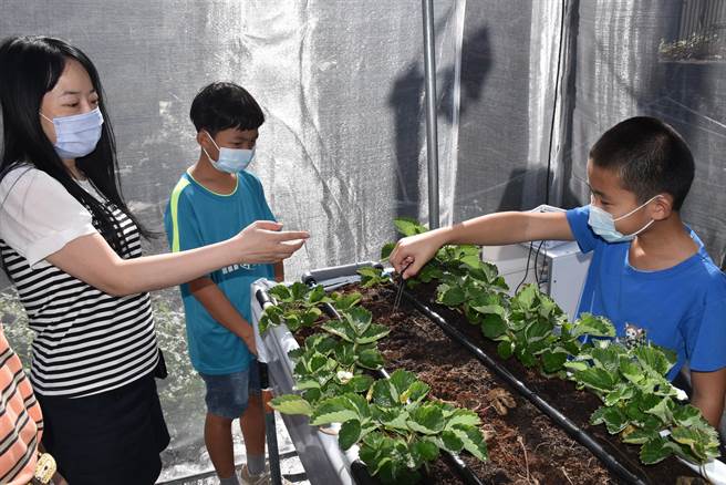 东兴国小学生透过温湿度自动控制，学习数位科技课程。（谢明俊摄）