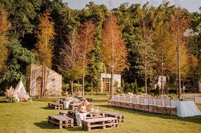 「青青食尚花園會館」擁有一片種植百棵高聳直立落羽松的秘境森林，夢幻美景非常吸睛。(青青食尚花園會館提供)