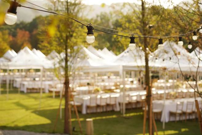 落羽松隨著時間變幻顏色，各階段都有不同美感，近幾年成為民眾秋冬必訪景點。 (青青食尚花園會館提供)