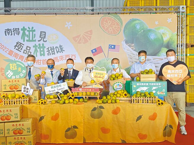 6.3公吨台南青皮椪柑销往马来西亚，昨日台南市政府举行装柜启航仪式。（台南市政府农业局提供／张毓翎台南传真）