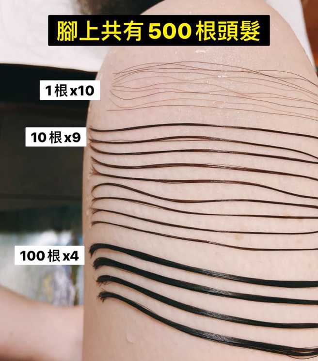 一名女網友耗費3個月的時間蒐集自己掉落的頭髮，結果驚人。（圖／翻攝自爆廢公社二館）