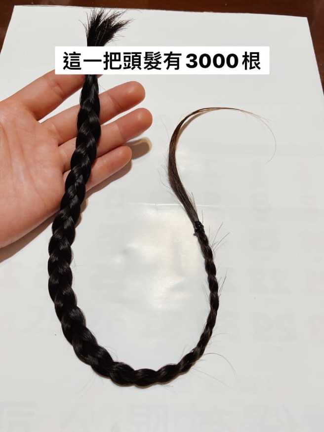 女網友每天蒐集自己的落髮，並統一裝到一個袋子裡保存。（圖／翻攝自爆廢公社二館）