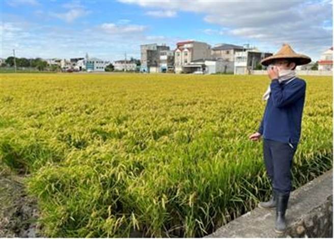 移民署苗栗专勤队干员乔装成农夫查缉非法逃逸移工。（苗栗专勤队提供／谢明俊苗栗传真）