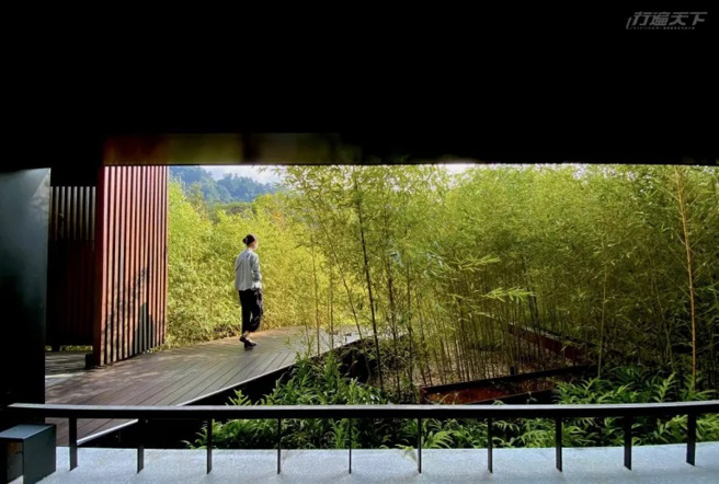 日本景觀設計師將山泉藉由人工河道引入園區，搭配竹林與樹木，營造許多氣氛角落。（圖/ 行遍天下）