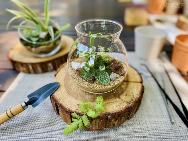 微景森林。（圖/ 行遍天下）