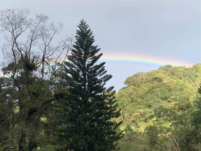 台南國際旅展優惠，雲仙樂園推纜車觀景下午茶350元起。（雲仙樂園提供）