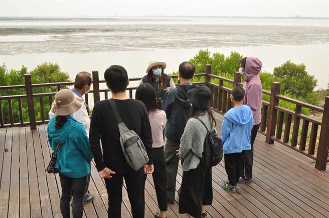 当天活动将会有导览员解读黑琶檔案，穿越秘境欣赏黑琵。（台江处提供／李俊淇台南传真）