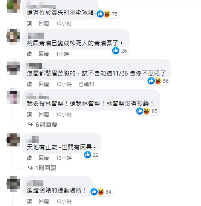 脸书网友留言。（图／截自蔡英文脸书）