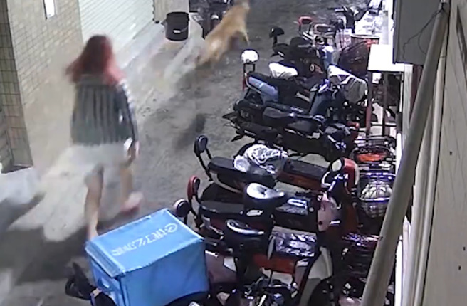 原本在睡觉男子查看监视器画面后，才发现原来女子追着爱犬大喊「不要不要」。（翻摄自微博）