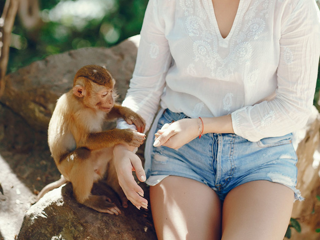 秘鲁女模穿太辣，一旁的猴子竟然趁她摆拍时，一把扯下她的低胸上衣，害她差点走光。（示意图／达志影像）
