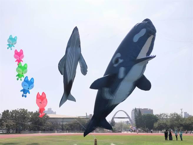 鹿港镇公所举办「鹿港风筝节」迎接九降风到来季节成了传统，今年以「筝好味派对」为主体，13日开幕。（吴敏菁摄）