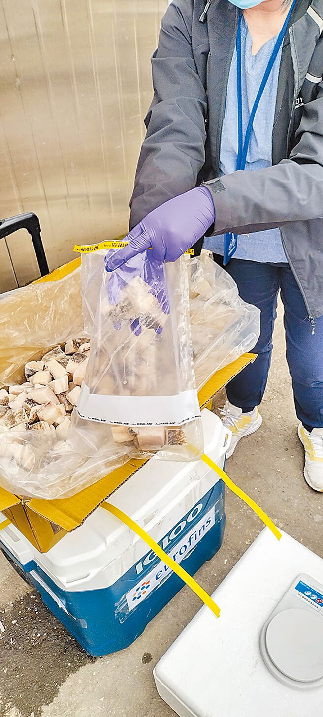 北市中小学从11月15日起，营养午餐增加供应石斑料理。（北市产发局提供／张芷瑜台北传真）