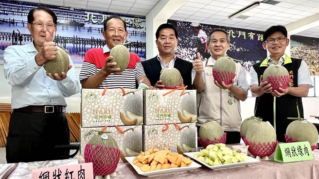 品嘗鹽地洋香瓜好時機，北門「HARU」洋香瓜評鑑19日登場。（張毓翎攝）