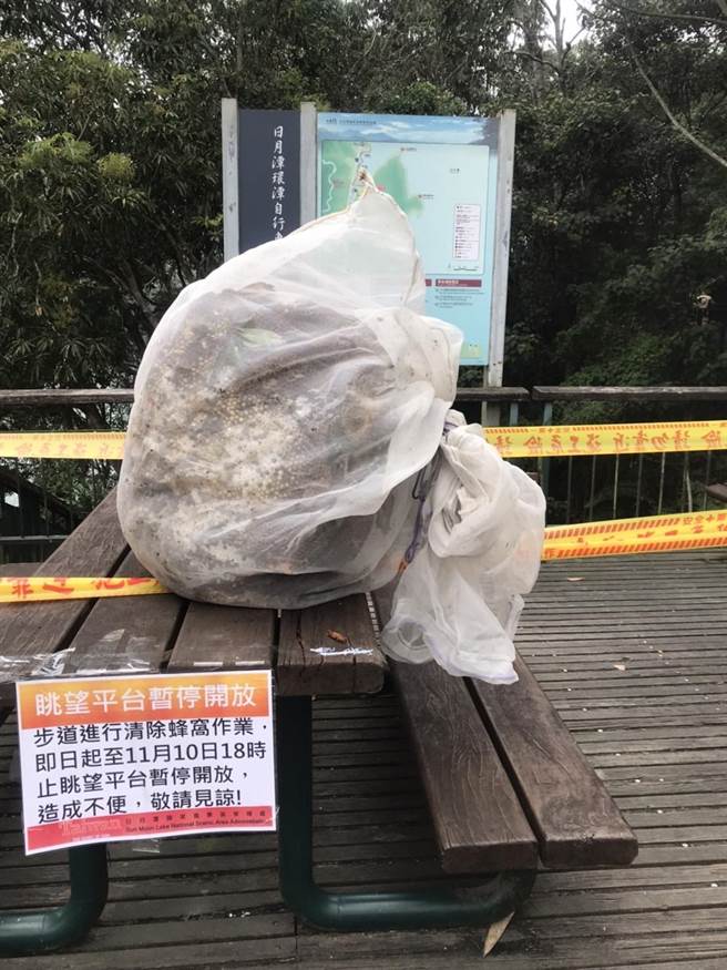 摘除的虎头蜂窝占满整张桌子，直径约100公分，十分吓人。（民眾提供／杨静茹南投传真）