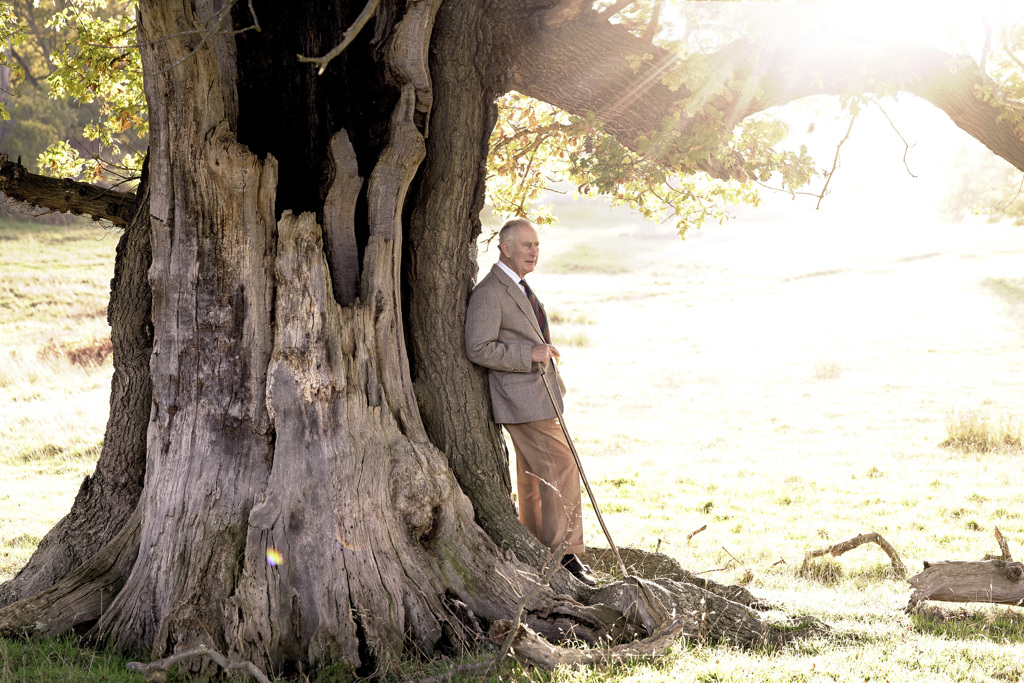 英国国王查尔斯11月14日过74岁生日当天公开的生日照，照片中显示，他11日站在温莎大公园（Windsor Great Park）的老橡树旁，表明从已故的父亲菲立普亲王手中接下公园管理员的职务。（美联社）(photo:ChinaTimes)
