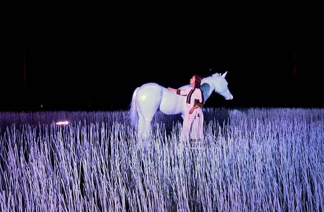 台东光祭落幕，「粉红色浪漫」将在12月初移师台东市区的铁花新聚落。（庄哲权摄）