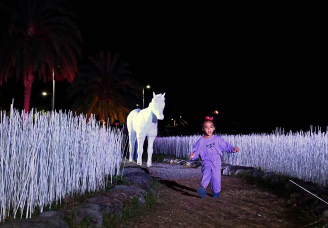 台东光祭落幕，「粉红色浪漫」将在12月初移师台东市区的铁花新聚落。（庄哲权摄）