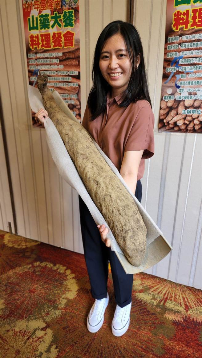 今年夏季基隆乾旱，山药减产，但仍有农民种植出130公分长、17斤的山药，令人称奇。（基隆市政府提供／张志康基隆传真）