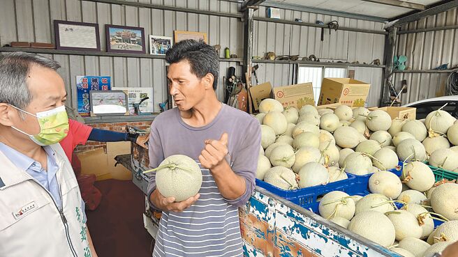 台南市政府农业局长李建裕（左）14日会勘北门洋香瓜的农损灾情，农民向他大吐苦水。（张毓翎摄）