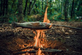 熟魚化石顯示：人類在80萬年前就「已知用火」