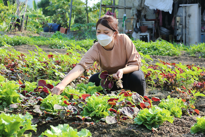 1月的《高雄画刊》，来到石斑鱼的故乡永安、瀰漫凤梨果香的大树、人情味小镇旗山等各处。(图/ 高雄画刊提供)