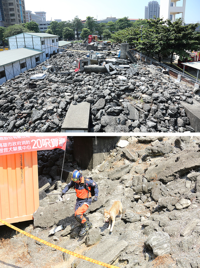 搜救犬驯养中心有符合国际标准场地，含模拟灾害现场的瓦砾搜索场。(摄影/ Carter)