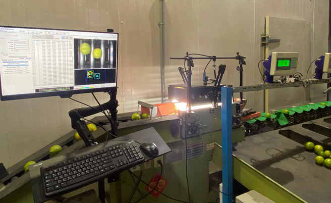 全國首創附掛式AI檸檬選果機，攝影機拍攝檸檬360度畫面，把瑕疵圈選出來後建構模組，即可自動選別不同等級的檸檬。(圖片提供/悠綠客農場)