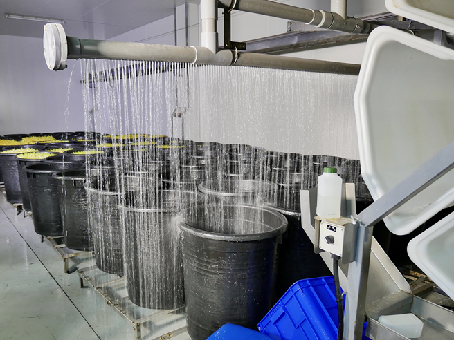 大樹「斯布特芽田」經由計畫補助投入建置智慧化環控系統，自動監控廠房內外環境，甚至能自動灑水，節省農友人力及交通往來時間，更避免颱風天出門的危險性。(圖片提供/高市府農業局)