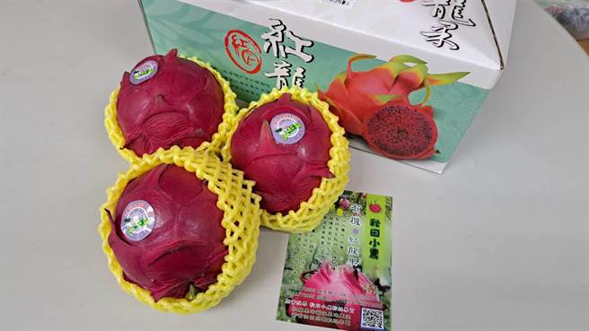 「秋田小农果园」园主邱林玉秋坚持有机栽种已有6年多时间，所生产的红龙果个个硕大饱满、鲜甜多汁且通过有机验证，更加安心安全。(高雄市农业局提供／林雅惠传真)