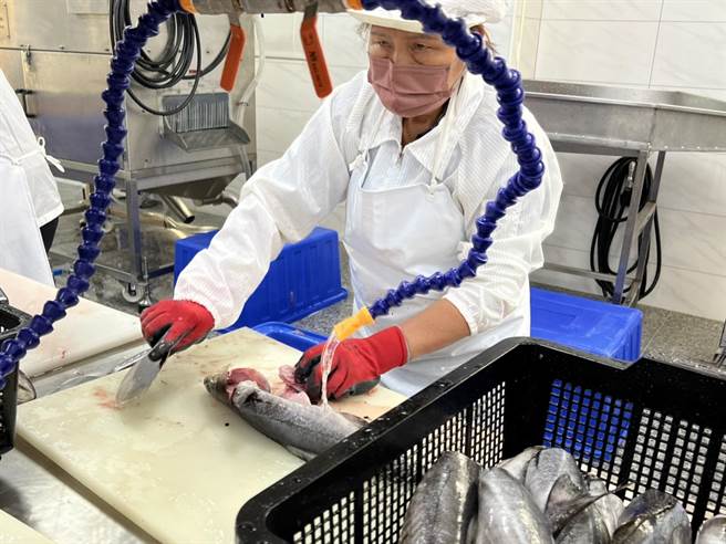 花蓮縣府獲經費補助，購買國產可溯源龍虎石斑魚食材及冷凍配送運費用，作為學生營養午餐加菜料理。（花蓮縣府提供／王志偉花蓮傳真）