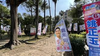 被近40面競選旗幟包圍成「特色公園」惹民怨 南市府：合法