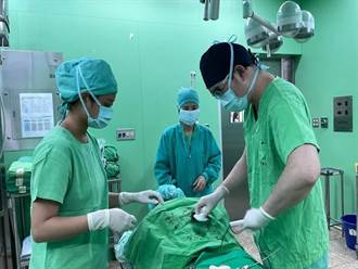 農民遭香蕉串重擊失血性休克 屏東醫院「腹部急症綠色通道」救命