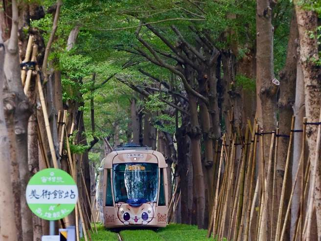 高雄輕軌在美術館路旁有最夢幻的龍貓隧道，吸引許多民眾拍照打卡。（柯宗緯翻攝）