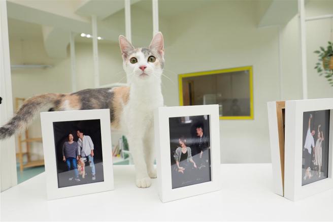 动物之家为大家创造与有缘动物相遇的空间，一对对成功领养的家庭也在动物之家留下幸福的身影。（图／林格立）