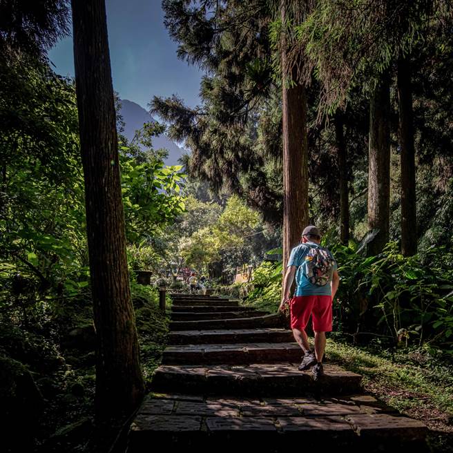 冬日旅遊度假，溪頭登山健行旅遊掀熱潮。（溪頭福華提供／廖志晃南投傳真）