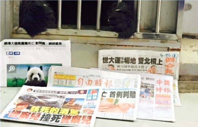 2016年团团曾和自己的死讯合照，藉此破除不实谣言。（图／台北市立动物园提供）
