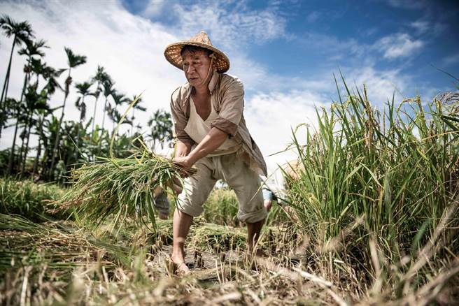 游安顺饰演佃农。（公视、禾丰制作提供）