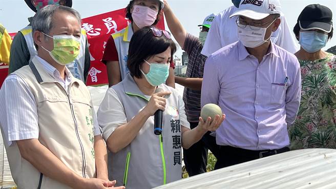 南市后壁等地区的秋作洋香瓜，近来发生灾损，立委赖惠员（右三）21日邀农委会主委陈吉仲（右二）勘灾。（张毓翎摄）