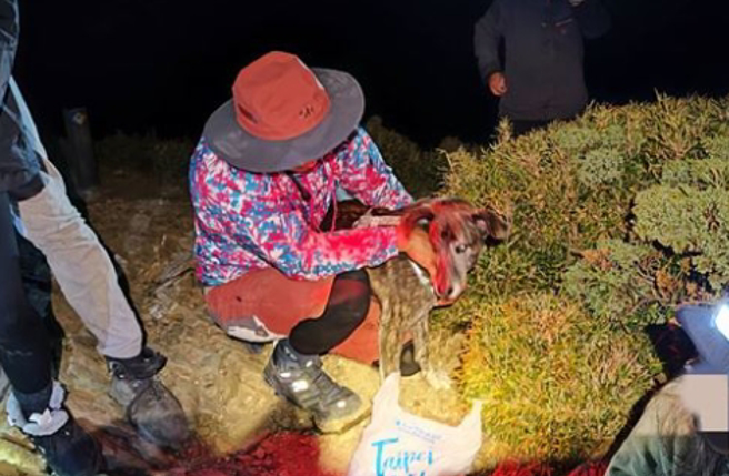 這支登山隊除了違法生火以外，甚至還帶狗上山。(圖／民眾提供)

