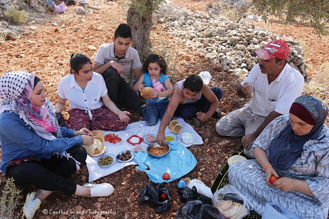 採收橄榄是巴勒斯坦人每年的大事，全家人在採收后会一起在橄榄园内吃简易美食。（时报出版提供）